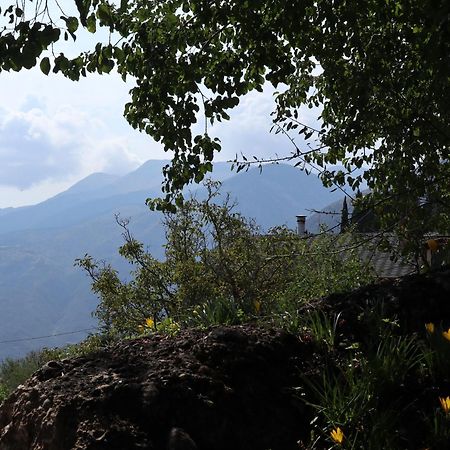 Μικρή Ζήρεια Ενοικιαζόμενη Κατοικία Synikia Mesi Trikalon Bagian luar foto