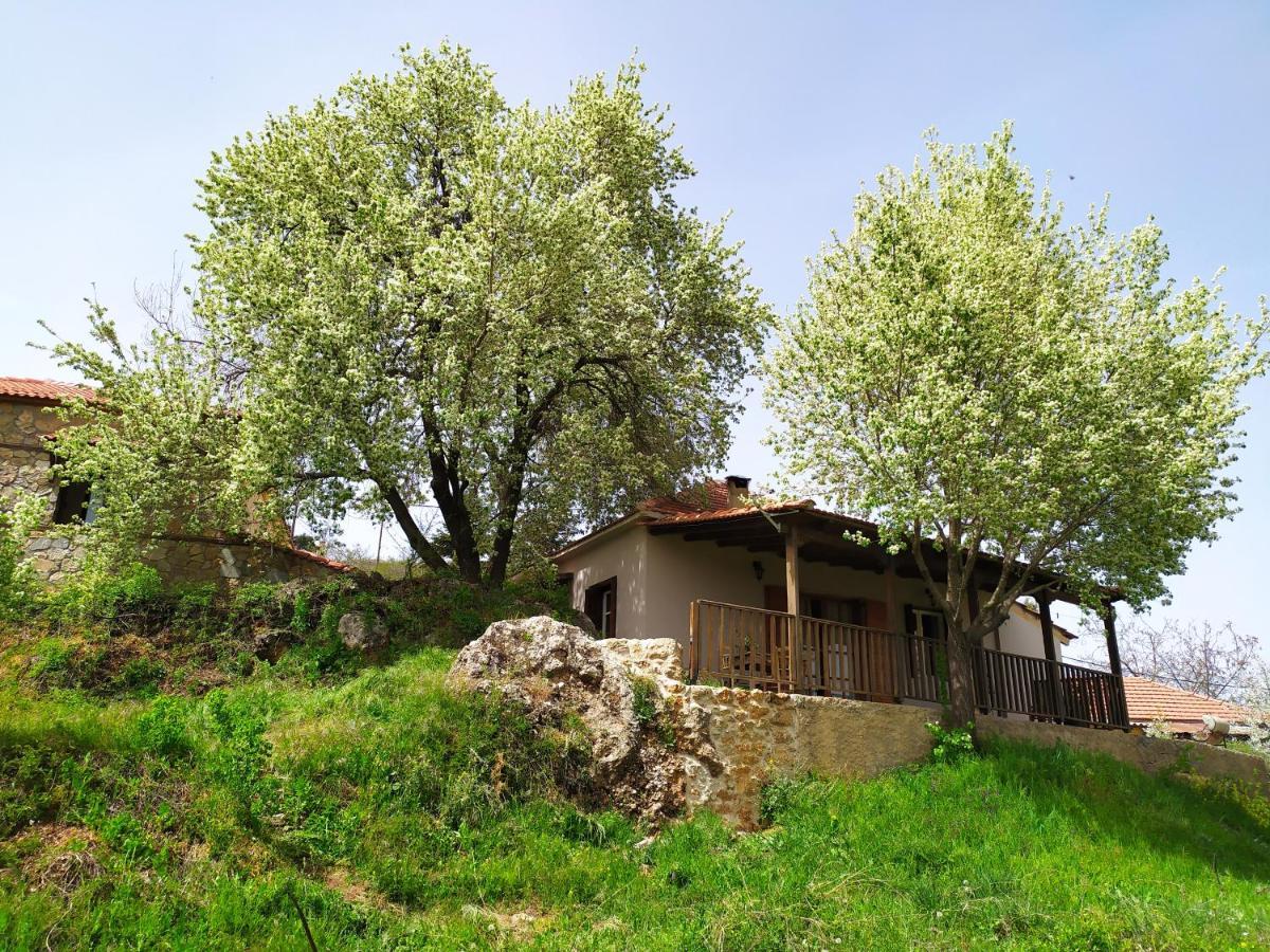Μικρή Ζήρεια Ενοικιαζόμενη Κατοικία Synikia Mesi Trikalon Bagian luar foto