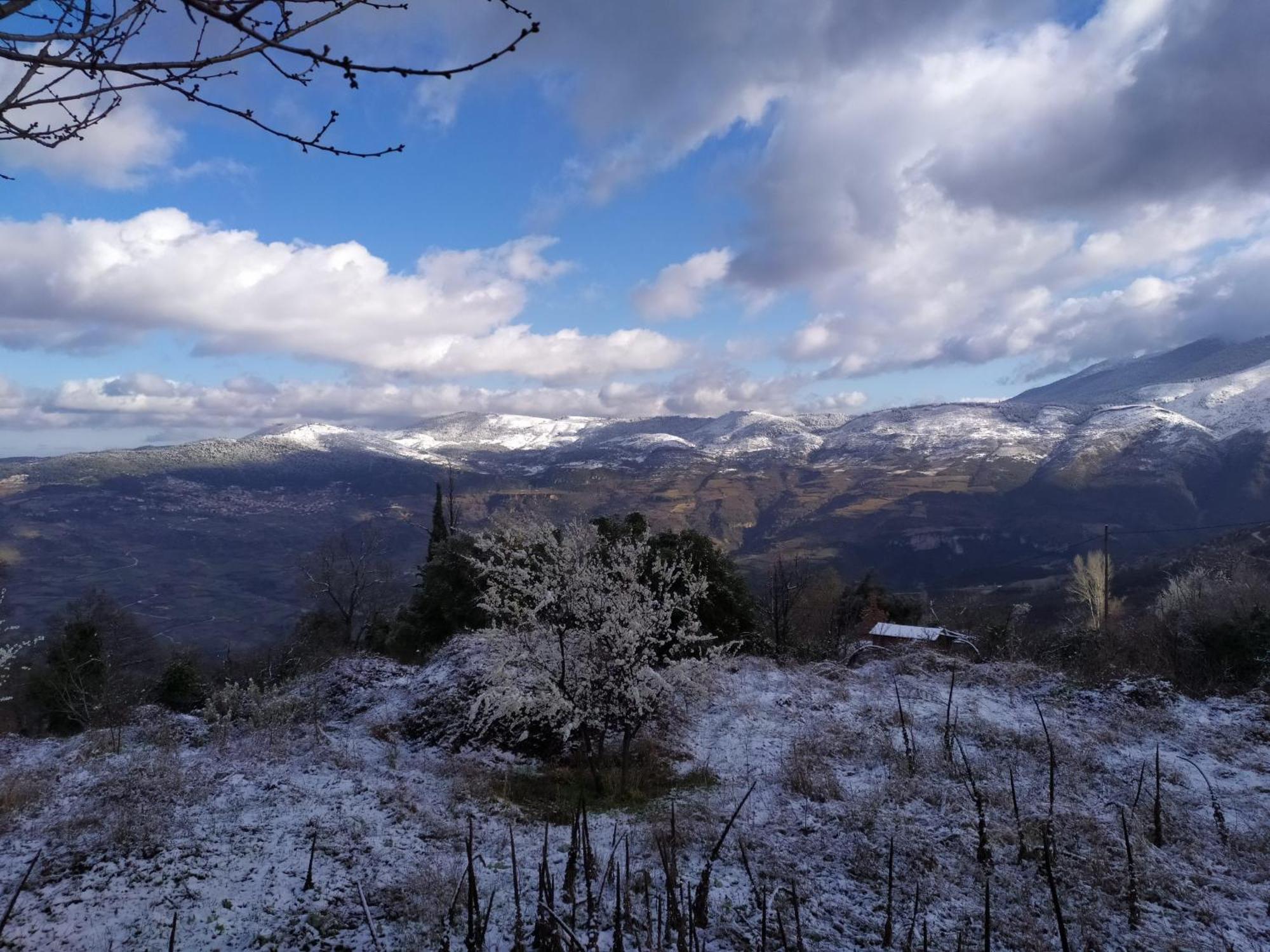 Μικρή Ζήρεια Ενοικιαζόμενη Κατοικία Synikia Mesi Trikalon Bagian luar foto
