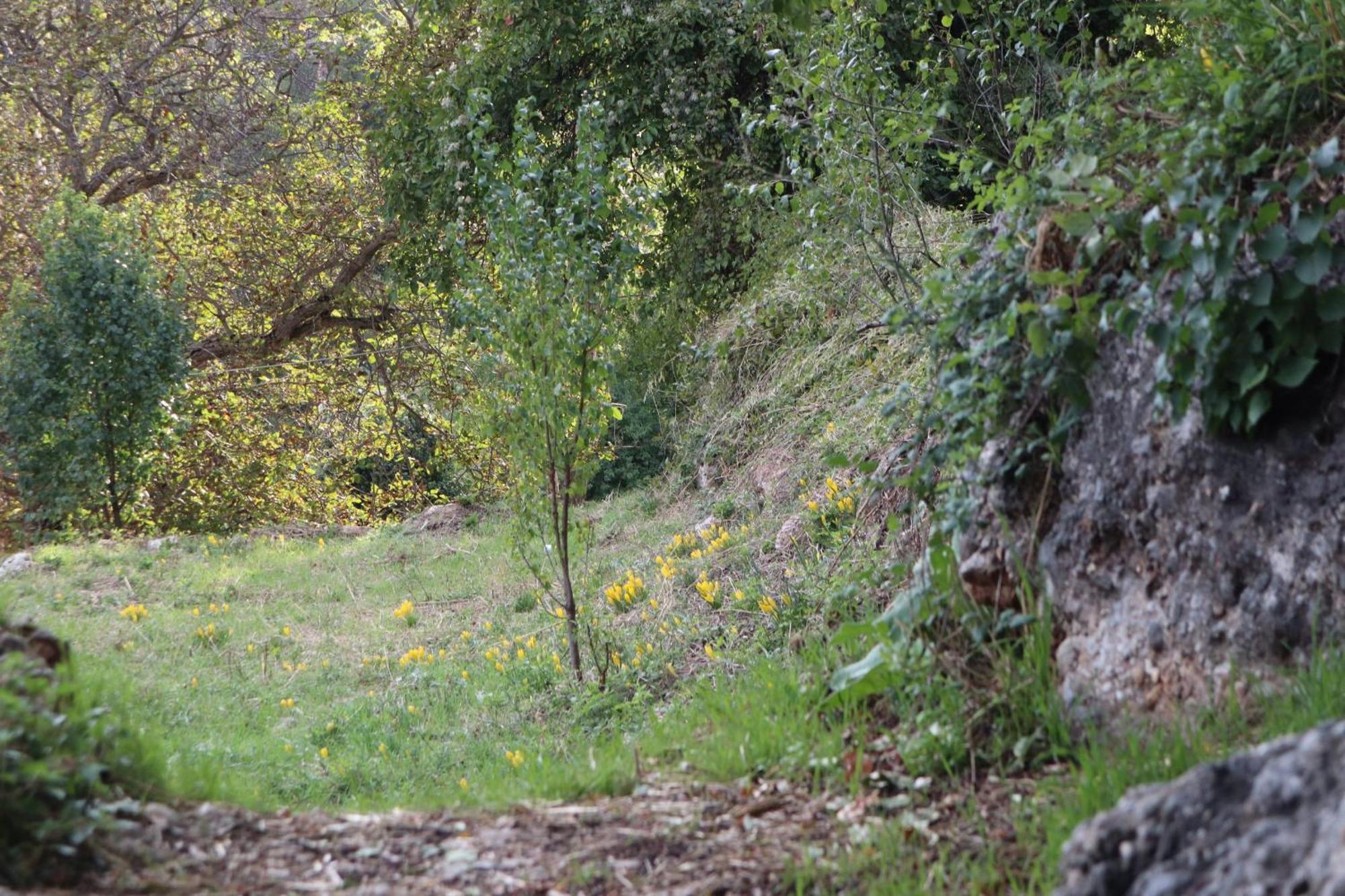 Μικρή Ζήρεια Ενοικιαζόμενη Κατοικία Synikia Mesi Trikalon Bagian luar foto