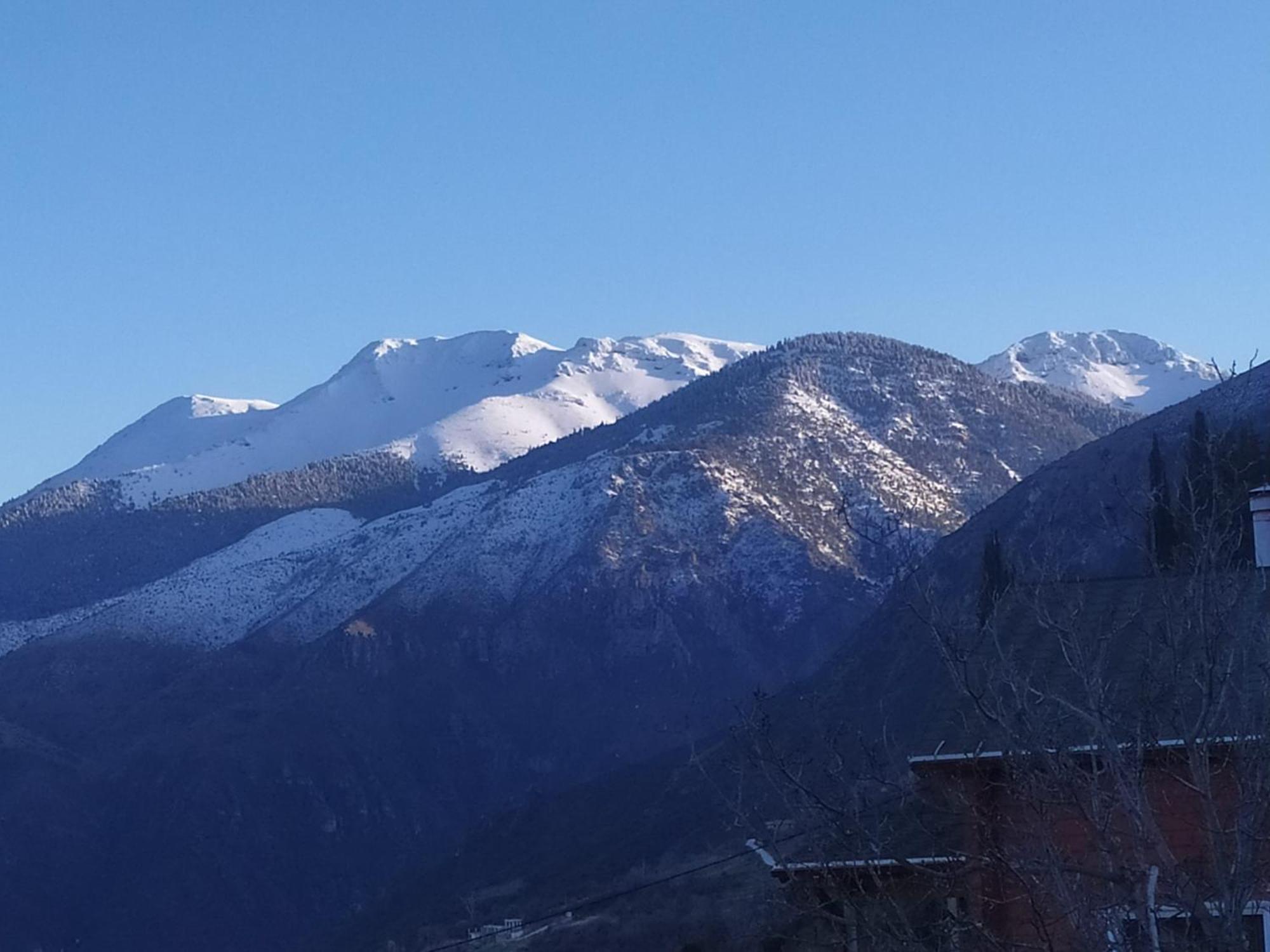 Μικρή Ζήρεια Ενοικιαζόμενη Κατοικία Synikia Mesi Trikalon Bagian luar foto